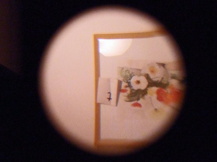 09 02 28 018.jpg - So sahen wir es durch das Fernrohr